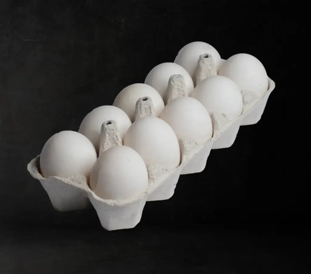 HUEVOS